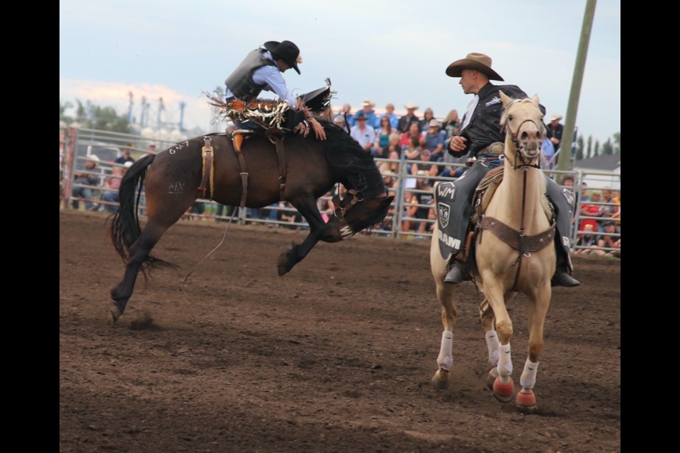 A pickup man gets ready to help a saddlebronc rider as it looks like he’s just about to get bucked off.
Doug Collie/MVP Staff