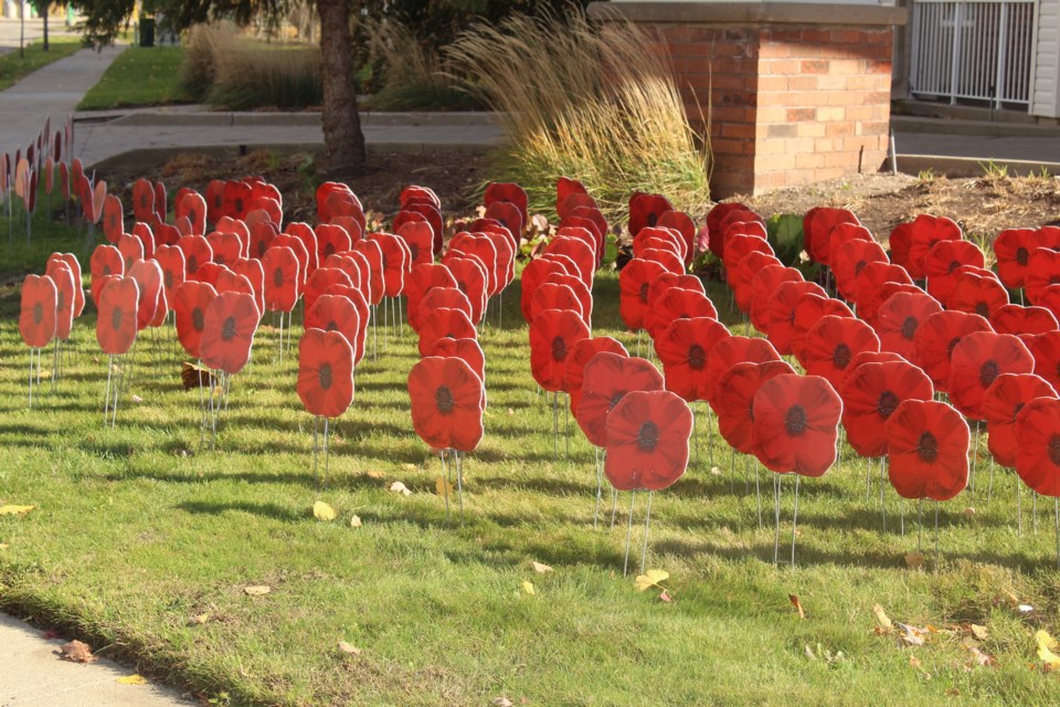 mvt-seasons-olds-poppy-display