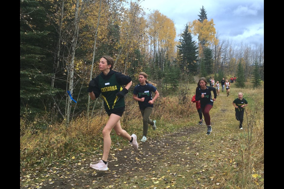 Nia Ferner, a Grade 7 student from Cremona School, paces just ahead of a group of runners who were roughly in the middle of the pack on Wednesday, Oct. 4 during a divisional cross-country meet hosted at Sundre High School.
Simon Ducatel/MVP Staff