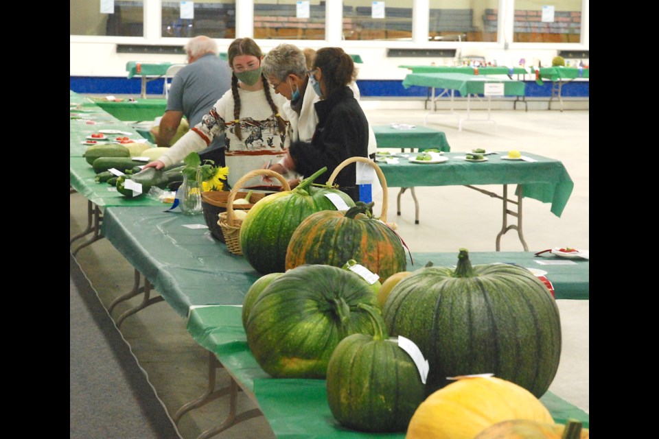 The Sundre & District Agricultural Society hosted last September at the Sundre Curling Rink the return of the traditional fall fair, which was among the numerous annual events cancelled in 2020 because of the pandemic. The 2022 edition takes place this Friday, Sept. 9.
File photo/MVP Staff