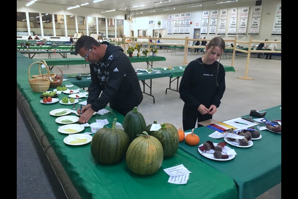 Paul Rishaug, a veteran judge of 10 years with the Alberta Horticultural Association who hails from Millarville, is no stranger to Sundre's annual fall fair. It was the third time he was at the Sundre Curling Rink to rate a variety of entries in produce categories. Helping him to record results and place ribbons on award-winning entries was local resident Brooke Rosevear, a member of the Sundre & District Agricultural Society that hosted the fair. 
Simon Ducatel/MVP Staff