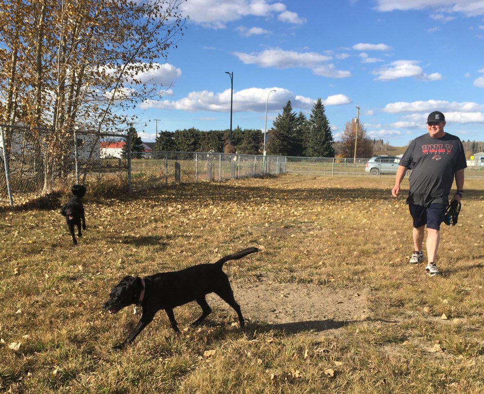 mvt-sundre-off-leash-dog-park