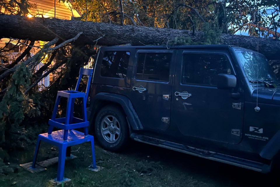 Although the Jeep almost looks as though it also escaped serious damage, the vehicle's roll bar is essentially all that prevented it from being crushed by a tree felled as a result of powerful wind gusts that swept through the area on Tuesday, Aug. 20. Lorrie Hamilton, who owns the property and the vehicle, said it's a writeoff.
Photo courtesy of Daris Kieley