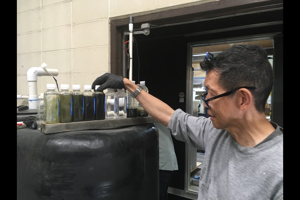 Engineer Gonzales Lee, Soneera Water’s vice-president of technical services, pioneered the wastewater treatment process that involves using a method known as electrochemical induction, or electroflocculation, to separate sewage from water. 
Simon Ducatel/MVP Staff