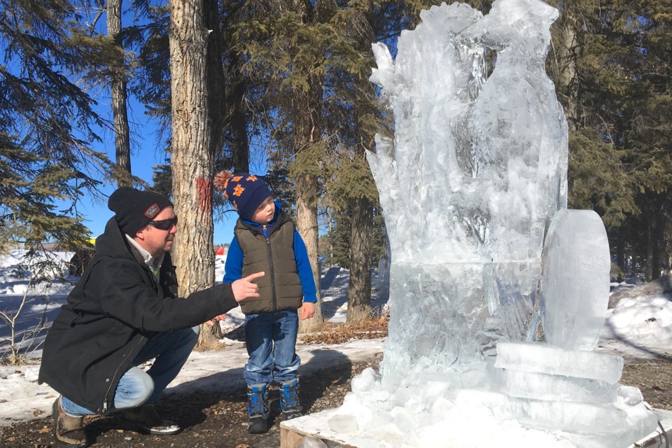 Bergen-area resident Dave White and his son Kelly take a look at a woodpecker sculpture that was among several displayed at the Greenwood Community Gazebo park during last year's Winterfest. File photo/MVP Staff 