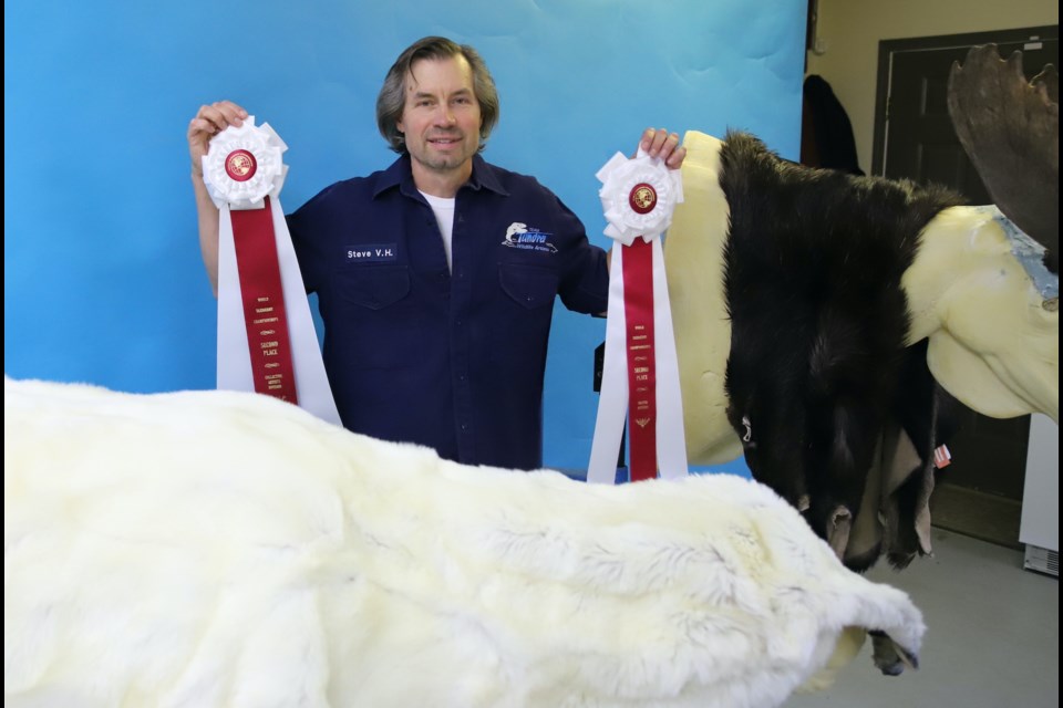 Olds Taxidermist Steve Von Hagel shows the two second place masters ribbons he won during Worlds in Iowa in August.
Doug Collie/MVP Staff