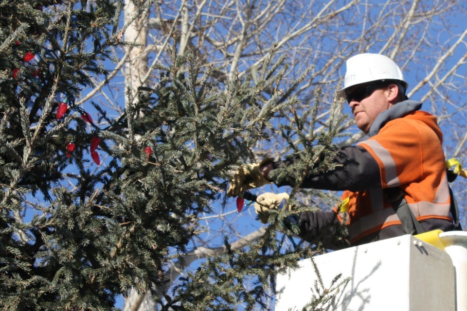 mvt-tree-of-hope-new-lights