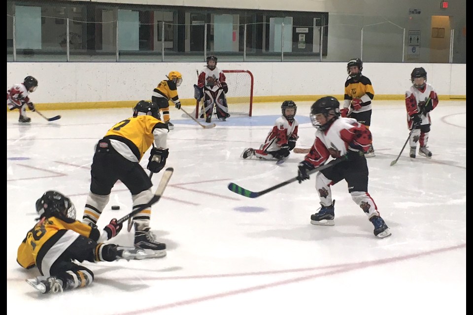 For the first time since the start of the COVID-19 pandemic nearly two years ago, Sundre Rec Hockey was able to host its annual fun tournament over the weekend, when 15 teams — three squads in five tiers ranging in ages from 4 to 18 — played at the Sundre Arena. 
Simon Ducatel/MVP Staff