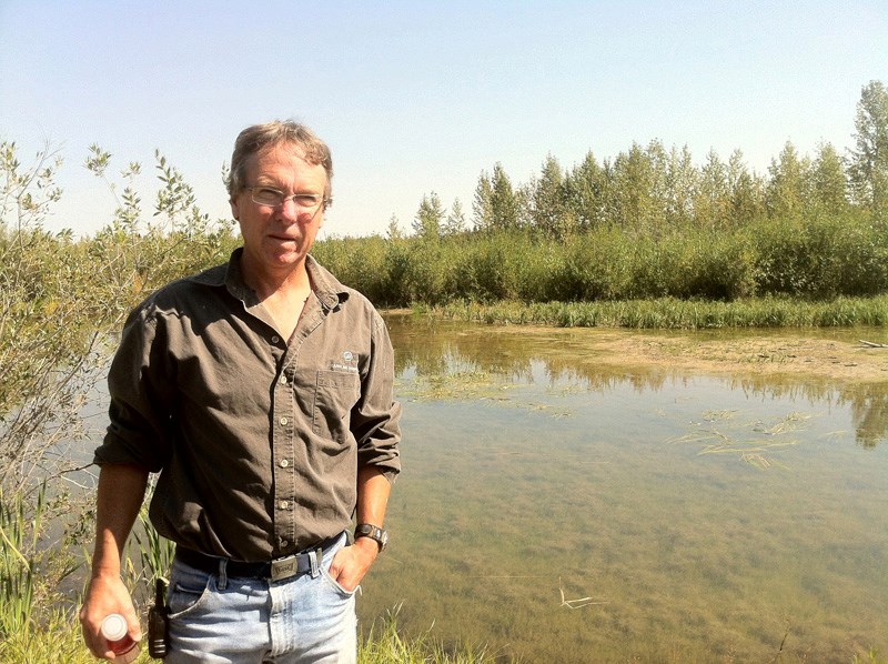 Gord Johnston surveys his property north of Sundre.