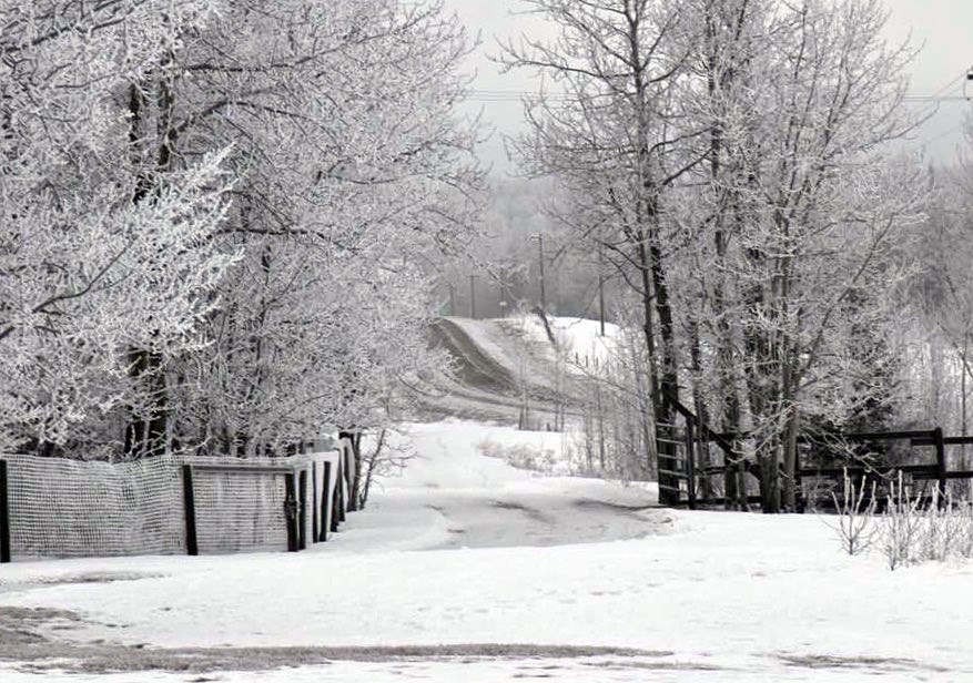 Sallee Williams captured this image of hoar frost near Bearberry during the morning of Jan. 23.