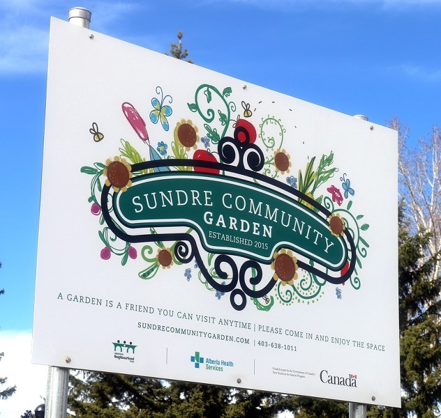 Experienced green thumbs as well as budding gardeners have an opportunity to practise their skills — or learn new ones — at the Sundre Community Garden. As of last week,