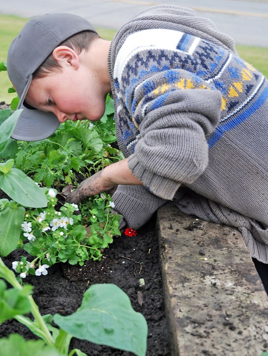 River Valley School Grade 4 student Chase Gordon was not remotely reluctant to get his hands dirty as he careful helped transplant flowers into the planters on the hill next