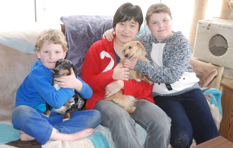 Japanese exchange student Sawa Ajimu, 16, was recently pictured surrounded by her host siblings Quinn, 7, and Wynter, 9, and the family pets Tango, left, and Tancy. Ajimu,