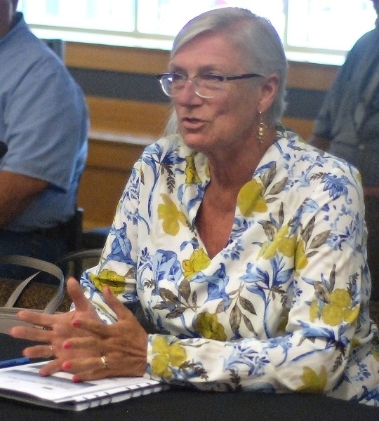 Patricia Maloney, senior planner with Dillon Consulting, outlines to Sundre&#8217;s council during the June 26 meeting a gravel pit concept design on behalf of Rolling Mix