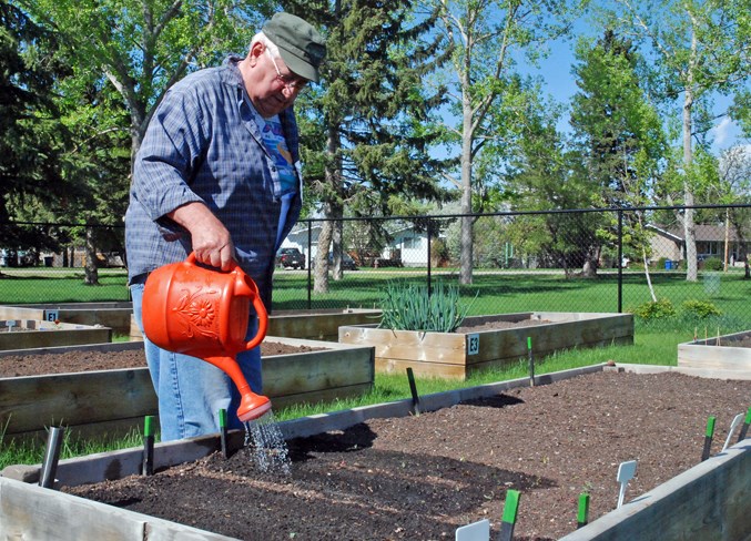 community garden