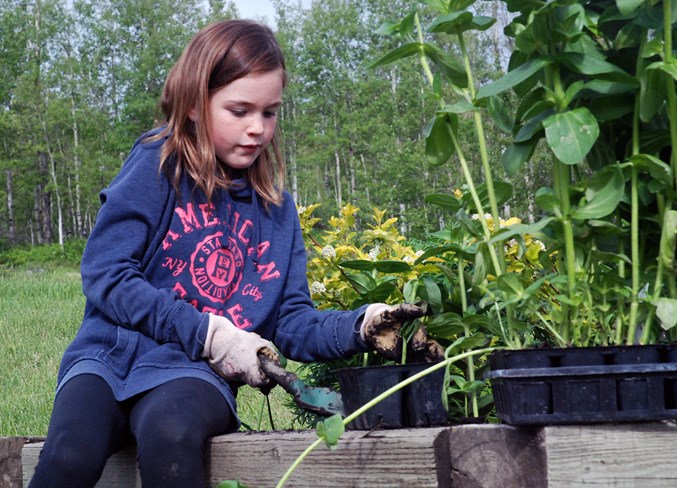 RVS Grade 4 planting