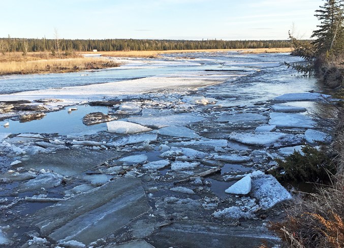  Ice breaks up along the Red Deer River banks. Simon Ducatel/MVP Staff