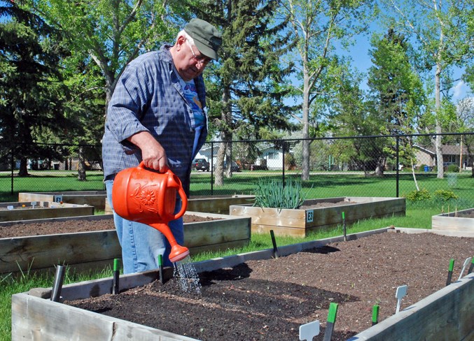 community garden