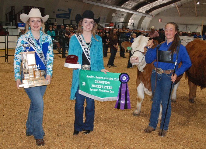 4H Show and Sale interclub champion steer