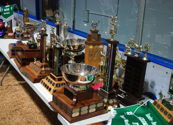  Plenty of trophies and awards were up for grabs at the Sundre Arena on Monday, May 27 during the 62nd Sundre and Bergen 4-H Show and Sale.