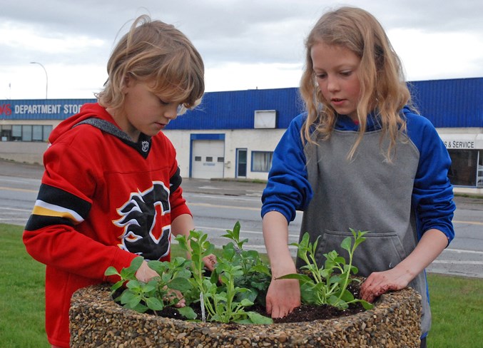 Grade 4 gardeners