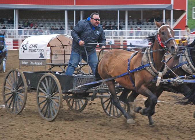  Chuckwagon driver Chris Arcand’s team of horses races off to a good start. He ended up placing second in the chariot event.