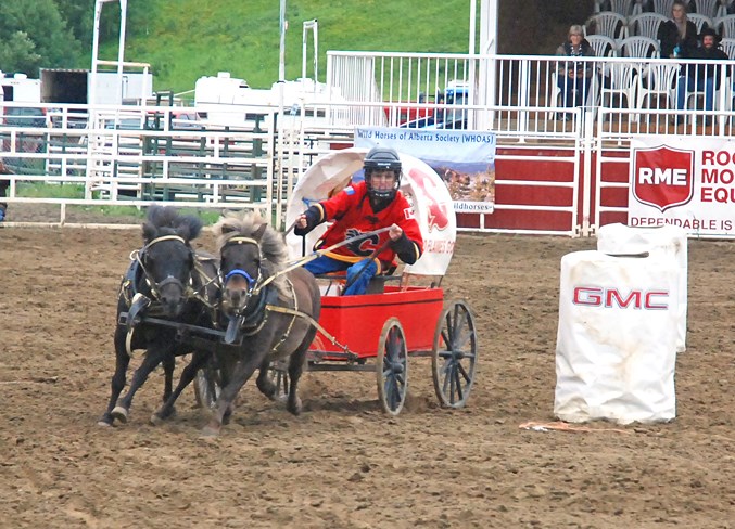  Daxton Young, from Eagle Hill, whose dad Dale Young was among the chuckwagon drivers, races in the mini chuckwagon event.