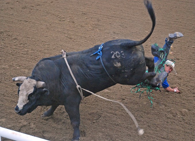  Brazil’s Italo Aguilar, one of several international competitors who came out to test their mettle, braces for impact after getting bucked off.