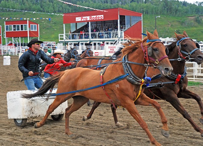  Tyrel Miller, no stranger to Sundre Bulls and Wagons, returned to race in the chariot and chuckwagon events. He went on to win the chariot races.