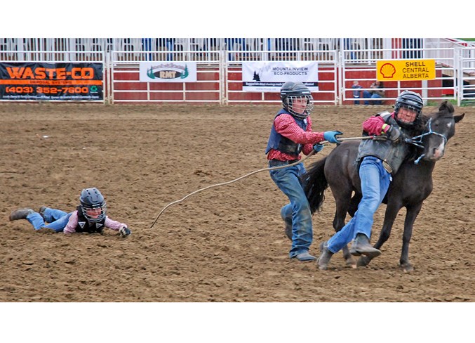  Young cowpoke competitors attempt to wrangle during the wild pony race.