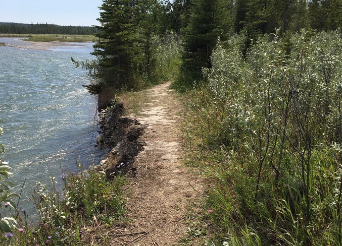 River trail erosion