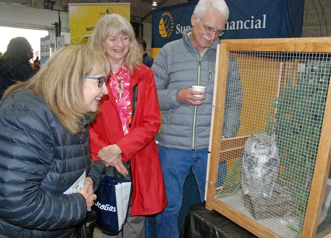  Sisters Rosemary Enzie, left, and Heather Kelcey, both from Olds, enjoy the opportunity to take a gander at the Medicine River Wildlife Centre’s mascot, Otis the Owl, while Water Valley resident Douglas Collister looks on as well.