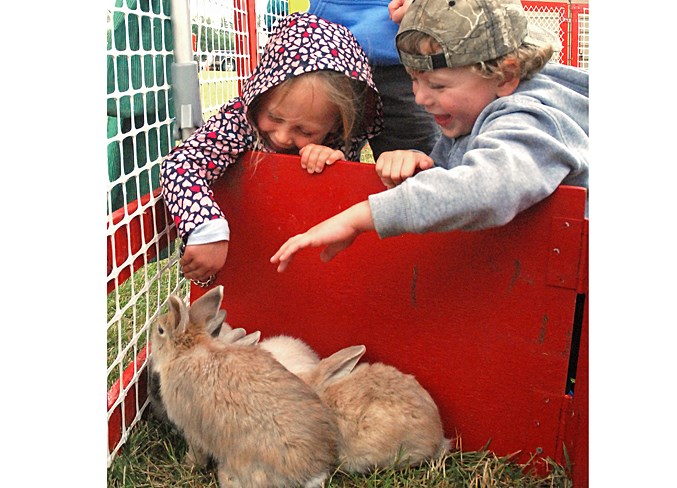  Everly Zinter, 4, and Riley Schmidt, also 4, gleefully reach out to caress bunnies at a petting zoo that was set up by Butterfield Acres Petting Farm. They were among a group of about a dozen children who came out from the Mount Imagination Daycare.