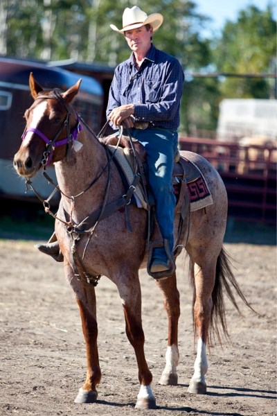 Bill Boyd with a horse that he purchased from the Innisfail Auction Mart and is training at his farm west of Didsbury.