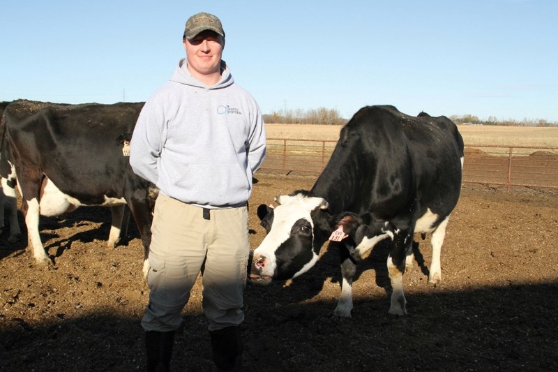 Penhold farmer Dustin Wintjes says his cows have a better quality of life since he made the switch to produce organic milk.