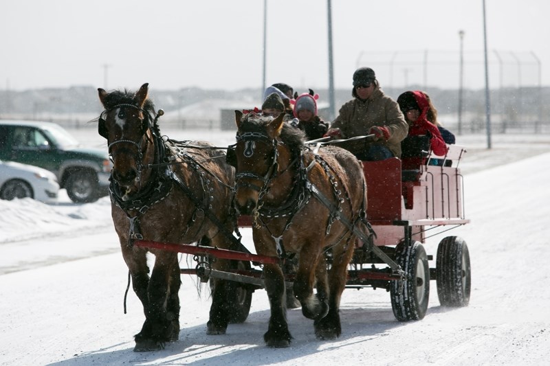 A horse-drawn wagon takes people for a ride around Carstairs during Winterfest on March 4.