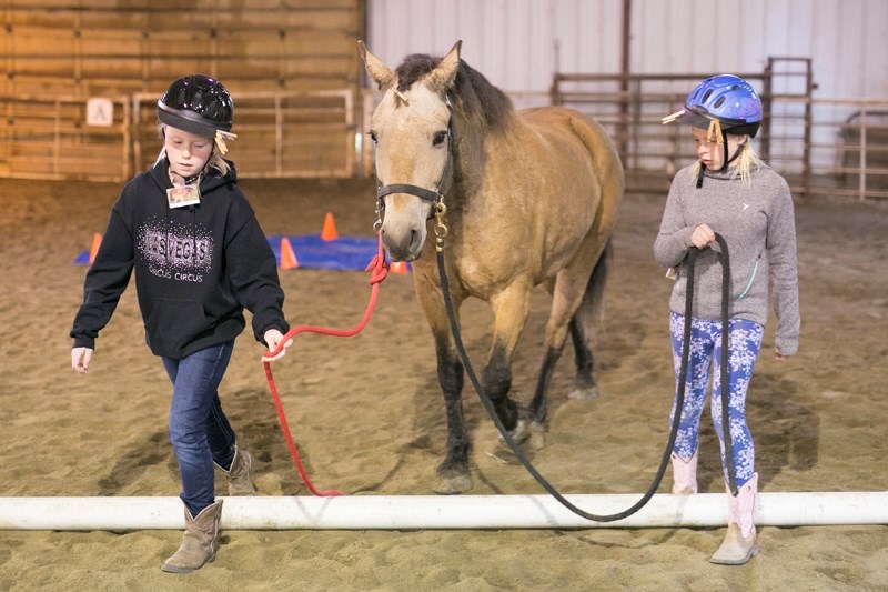 Josie Harron, left, and Baileigh Bunch, right, lead a horse through a course as part of the equine assisted learning (EAL) program at the James River Horse Palace.