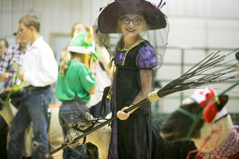 Teresa Cutts of Crestomere 4-H has her witch&#8217;s broom chewed on by her sheep during Summer Synergy, a youth agricultural symposium and competition held in Olds mid-July. 