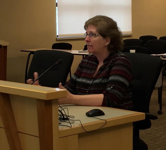 Pat Ryan, co-owner of the Fallentimber Meadery, speaks with members of the municipal planning commission.