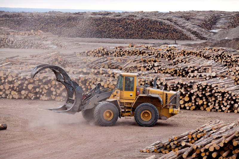 Crews move raw lumber at the SFP mill west of Sundre.