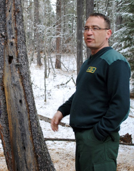 Barry Shellian show a fire damaged tree