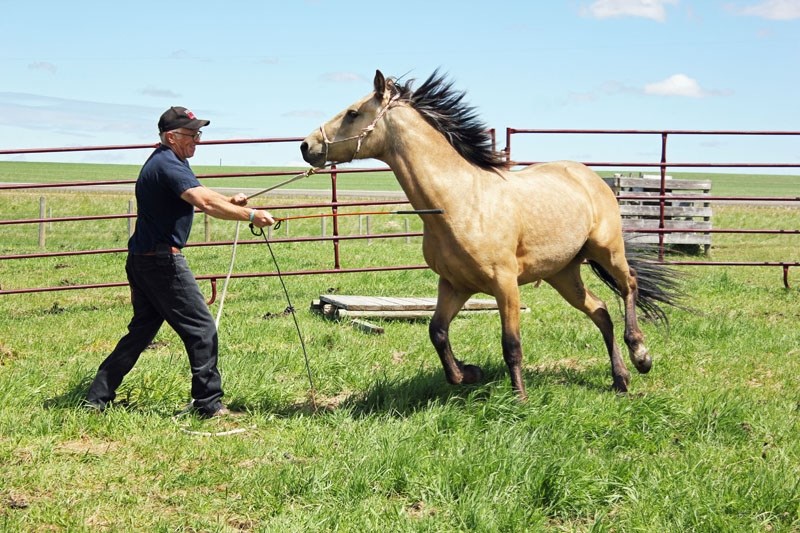 Mikko gets some training.