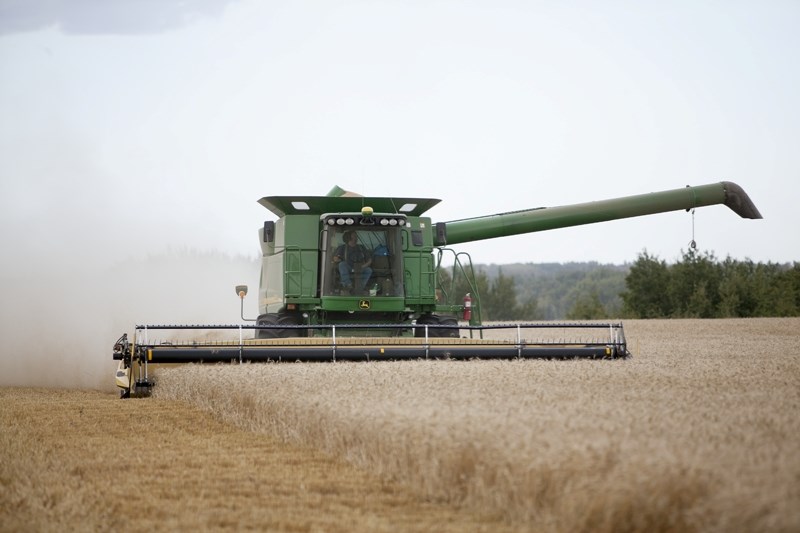 Darcy Craig operates a combine.