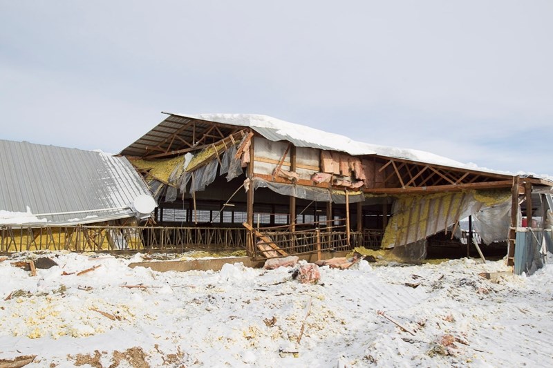 A dairy barn damaged by heavy snow.