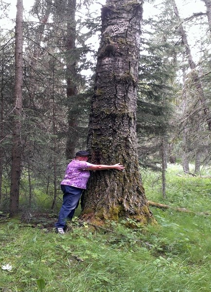 Maureen Worobetz, a Legacy Land Trust Society board member, hugs a tree located west of Bergen on the first property to become protected with a conservation easement through