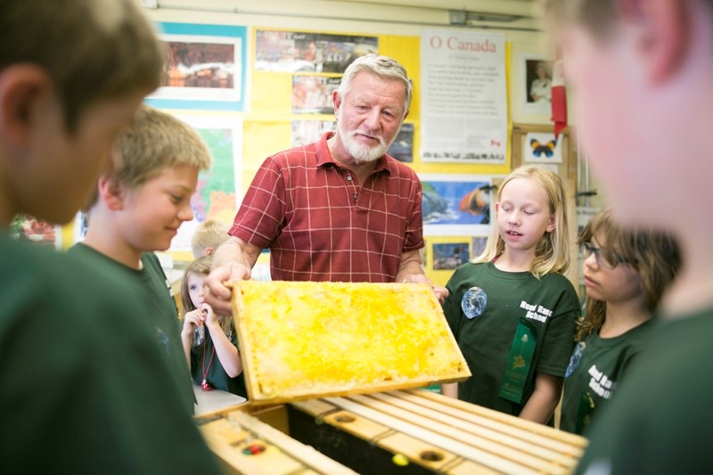 Beekeeper Ray Forrester shows students the inner workings of a commercial beehive.