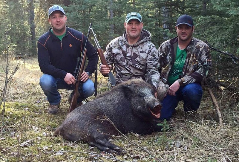 Members of Hoggin Alberta group pose with a wild boar after a hunt. Mountain View County recently banned wild boars and Red Deer County may soon follow suit.