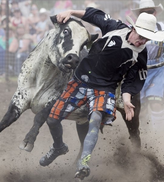 A bullfighter tussles with a steer during the recent 111th annual Dogpound Stampede.