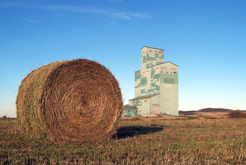 Rain has made this haying season challenging.