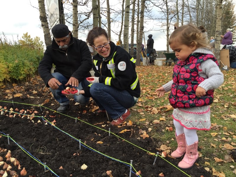 Willow Kergen, left, helps plant tulips in Water Valley on Oct. 4.